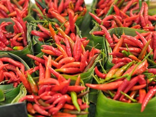 red and green peppers