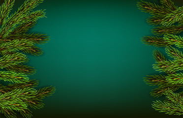 Green natural background with pine