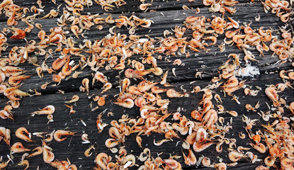 Dried shrimp or dried salted prawn background, seafood background