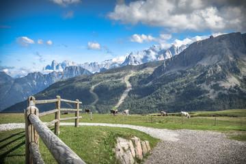 Fototapeta na wymiar Wonderful alpine scenery