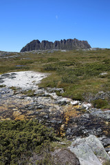 Cradle Mountain-Lake St Clair National Park in Tasmanien. Australien