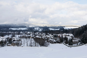 Village in winter mountains