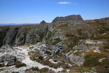 Cradle Mountain-Lake St Clair National Park in Tasmanien. Australien