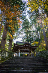 Obraz premium 大神山神社神門（鳥取県大山）