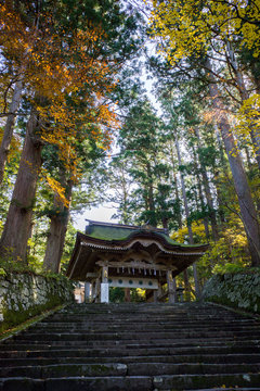 大神山神社神門（鳥取県大山）