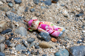 Forgotten Doll