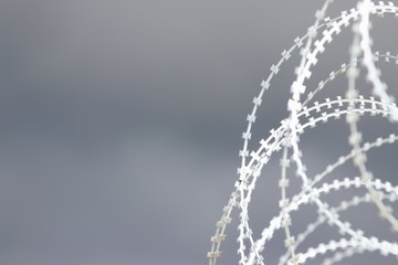 Razor security wire fence 