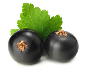 black currant with green leaf isolated on white background. macro