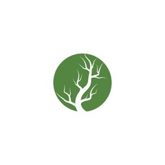 Tree logo template
