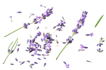 Gordijnen lavender flowers isolated on white background. top view © Dmytro