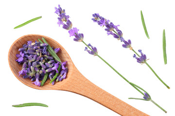 lavender flowers isolated on white background. top view