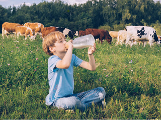 Caucasian boy 8 years old drinks milk from a large glass bottle. The child stands in a field of...