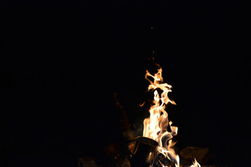 Closeup of blazing campfire coals in the evening