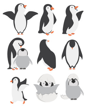 Happy penguin and chicks characters in different poses set