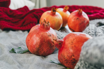 Pomegranate on a gray plaid close up