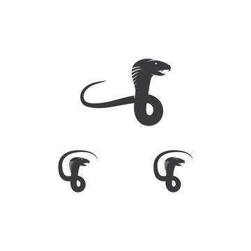 Snake logo