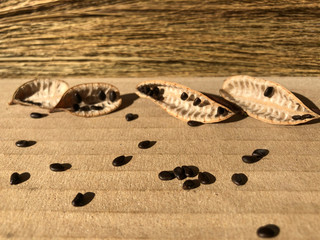 Picture of seeds on a brown paper surface with a broom blur background.