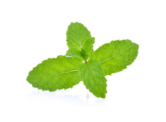 Mint leaves isolated on white background.