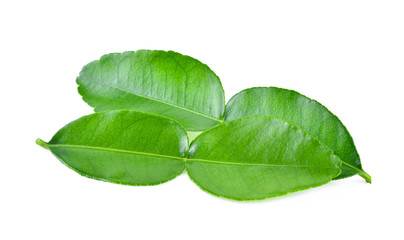 Obraz premium Kaffir lime leaf isolated on white background
