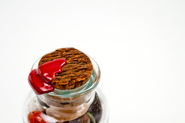 Natural cork in a glass bottle sealed with red sealing wax filmed on a large white background