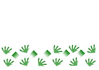 green leaf isolated on white background