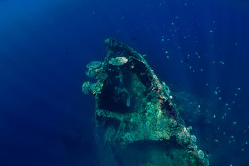 Freediver glides underwater at shipwreck in Tulamben, Bali. Freediving in sea