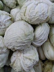 Fototapeta na wymiar Brassica oleracea var. capitata L. Cabbage at a traditional market