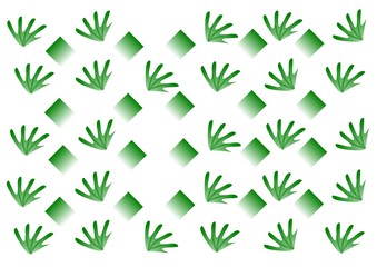 green leaf isolated on white background