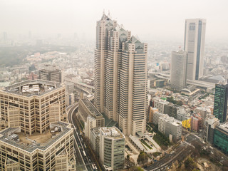 Fototapeta na wymiar Tokyo