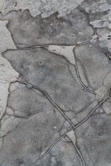 texture of old wall