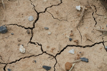 dry cracked earth