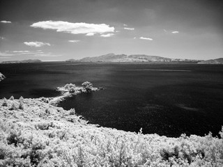 infrared