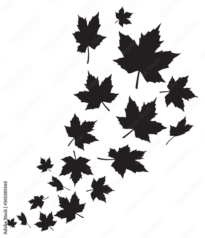 Wall mural swirl of falling maple leaves