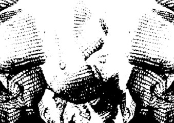 Rough black and white texture vector. Distressed overlay texture. Grunge background. Abstract textured effect. Vector Illustration. Black isolated on white background. EPS10.