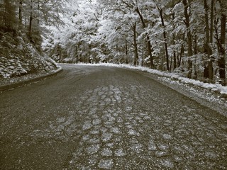 infrared
