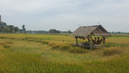old house in the village