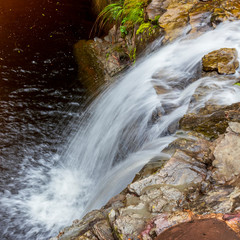 Waterfall in forest at Amboro national parc. Bolivia.