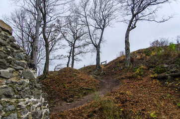 Obraz premium droga w górach 