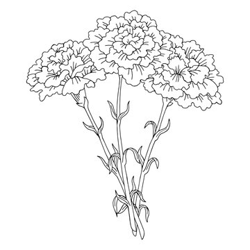 carnation flowers black and white outline clip art preview