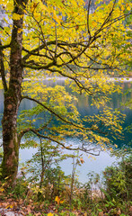 Obraz premium Gosauseen or Vorderer Gosausee lake, Upper Austria. Autumn Alps mountain lake with clear transparent water and reflections.