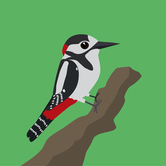 Fototapeta premium A vector illustration of a great spotted woodpecker on a tree trunk with a green background