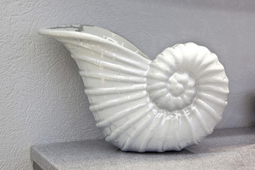Ammonite prehistoric fossil in the interior