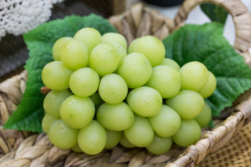 Shine Muscat, Seedless grape varieties