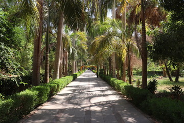 alley in the park