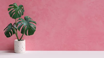 Tuinposter Tropical leaves on pink background copy space. Monstera plant pot houseplant minimal composition. 3d rendering. © vpanteon