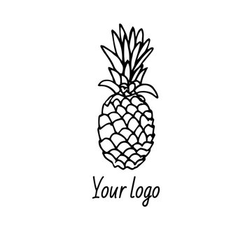 Fruit market or juice bar logo vector template. Hand drawn illustration in black ink on white background. Hand drawn pineapple in doodle style.  