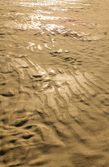  sand texture for background