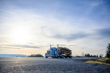 Blue powerful classic big rig semi truck transporting wood logs on the semi trailer running on the...