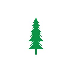 pine tree icon