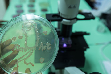 Backgrounds of Colony Characteristics of Bacteria in petri dish for education.